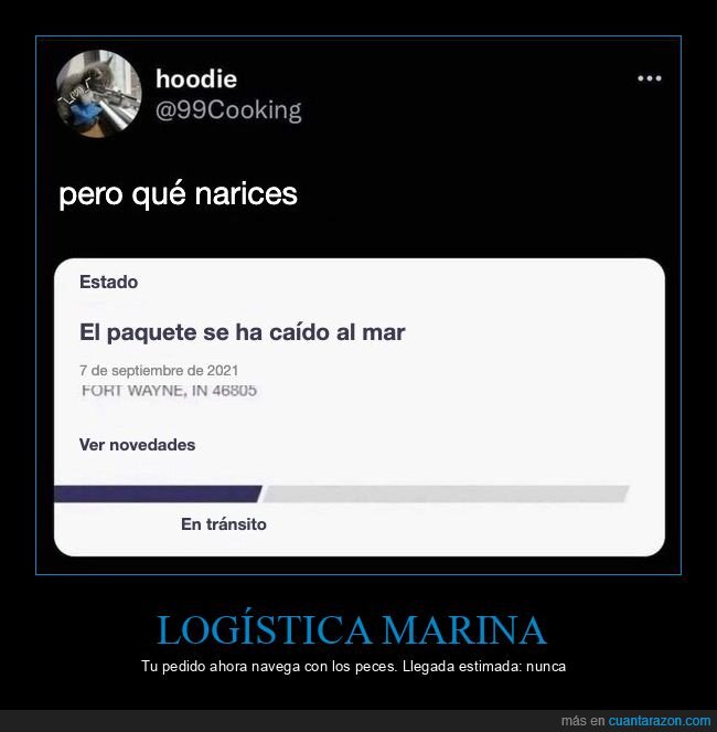 paquete,env&iacute;o,oc&eacute;ano,entrega,transporte