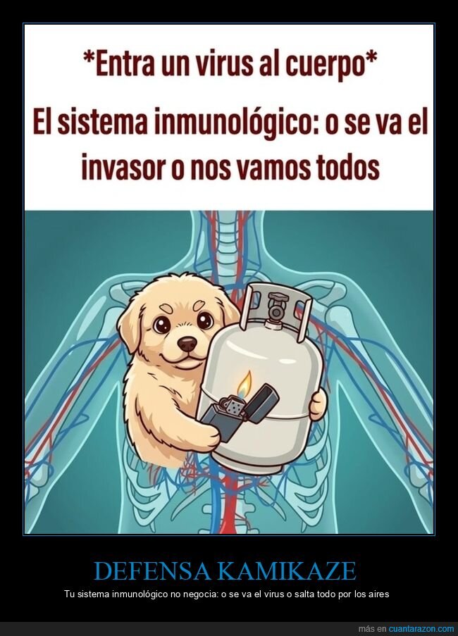 sistema inmunol&oacute;gico,virus,ciencia,cuerpo