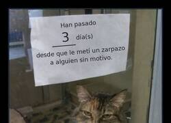 Enlace a Tres días sin dar un zarpazo y ya está contando las horas para el siguiente