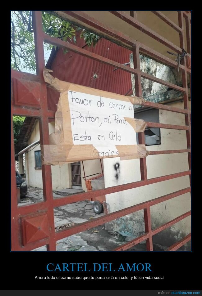 cartel,perro,celo,porton,barrio