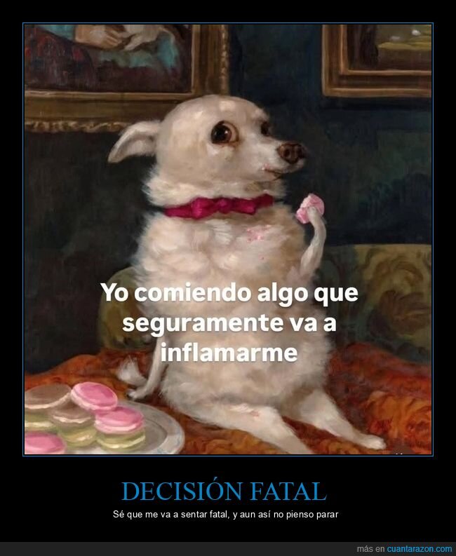 perro,macarons,retrato,gula,elegancia