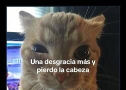 Enlace a Cuando te preguntan si estás bien