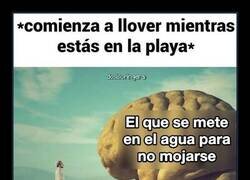 Enlace a Cuando empieza a llover en la playa
