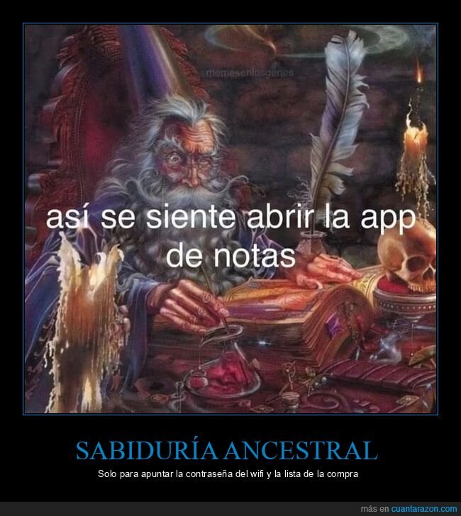 mago,pergamino,notas,escritura,conocimiento