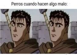 Enlace a Perros vs. gatos cuando hacen algo malo