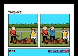 Enlace a Los caballos de carreras también se jubilan