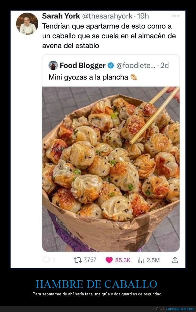 comida,gyozas,hambre,caballos,tuits