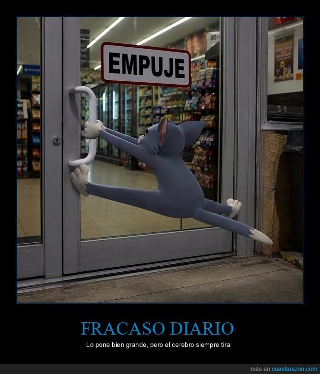 puerta,empuje,torpeza,supermercado,gato