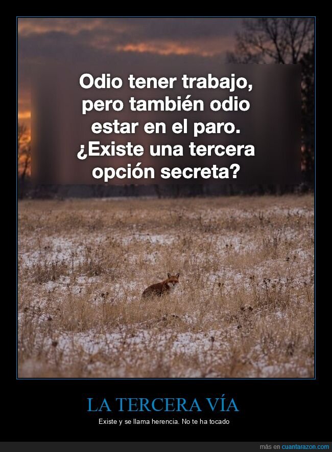 empleo,desempleo,zorro,invierno,crisis