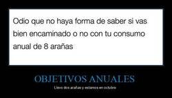 Enlace a Mis propósitos de este año