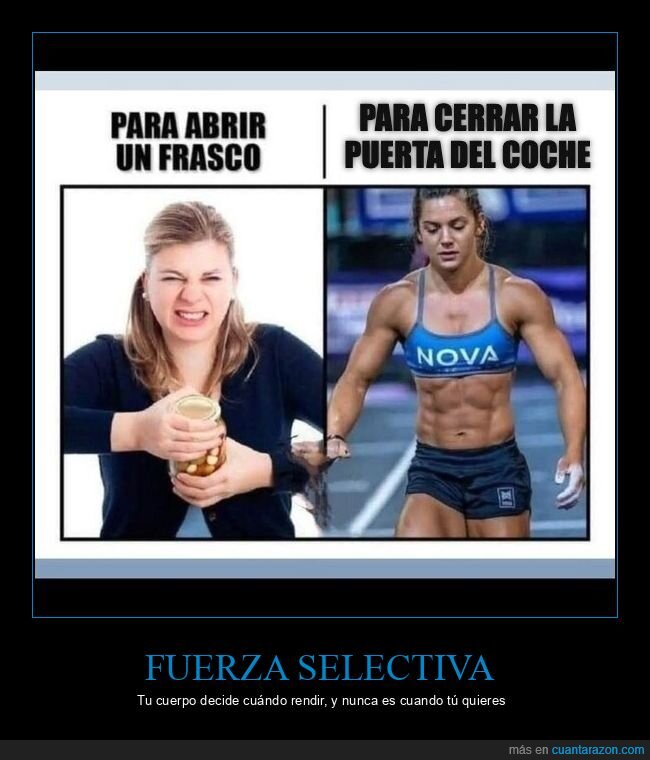 fuerza,gimnasio,frasco,musculo,contraste