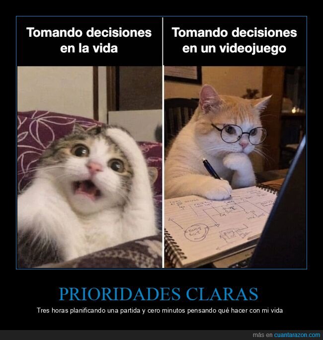 gatos,videojuegos,decisiones,vida,gamers