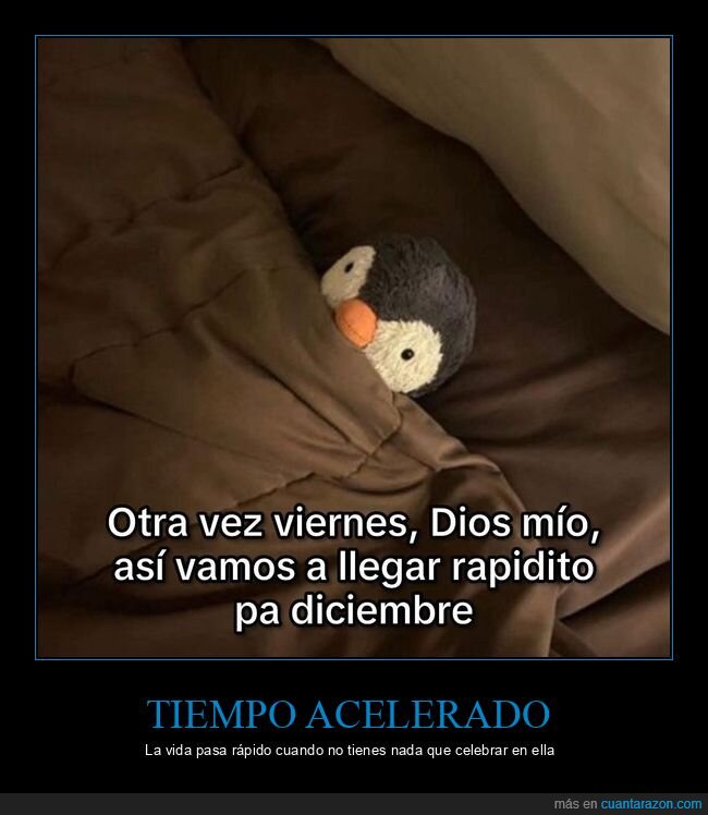 ping&uuml;ino,cama,viernes,diciembre,rutina
