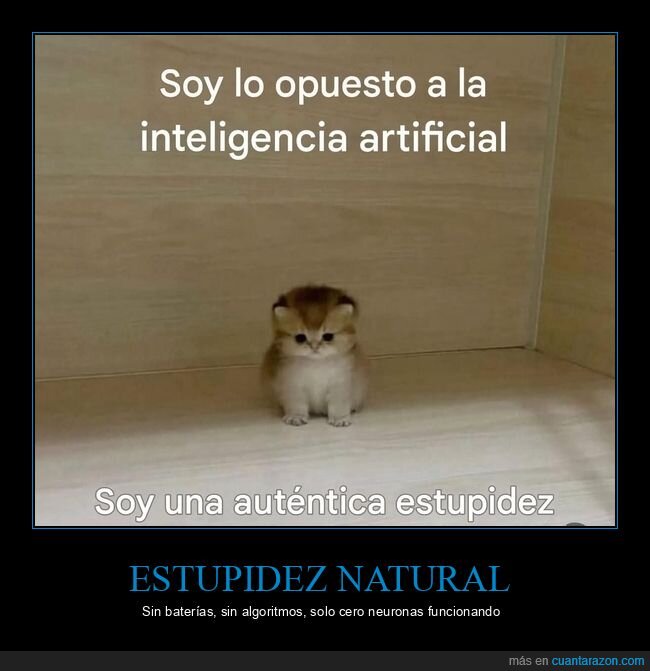 gatito,estupidez,inteligencia,artificial,torpeza