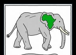 Enlace a Elefante africano y elefante asiático