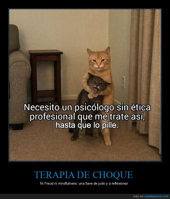 psicologo,terapia,gatos,llave,&eacute;tica