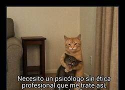 Enlace a Lo que busco en un psicólogo