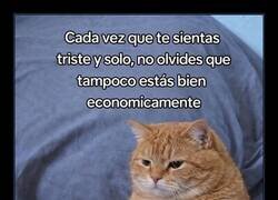 Enlace a Cuando estés triste y solo, recuerda