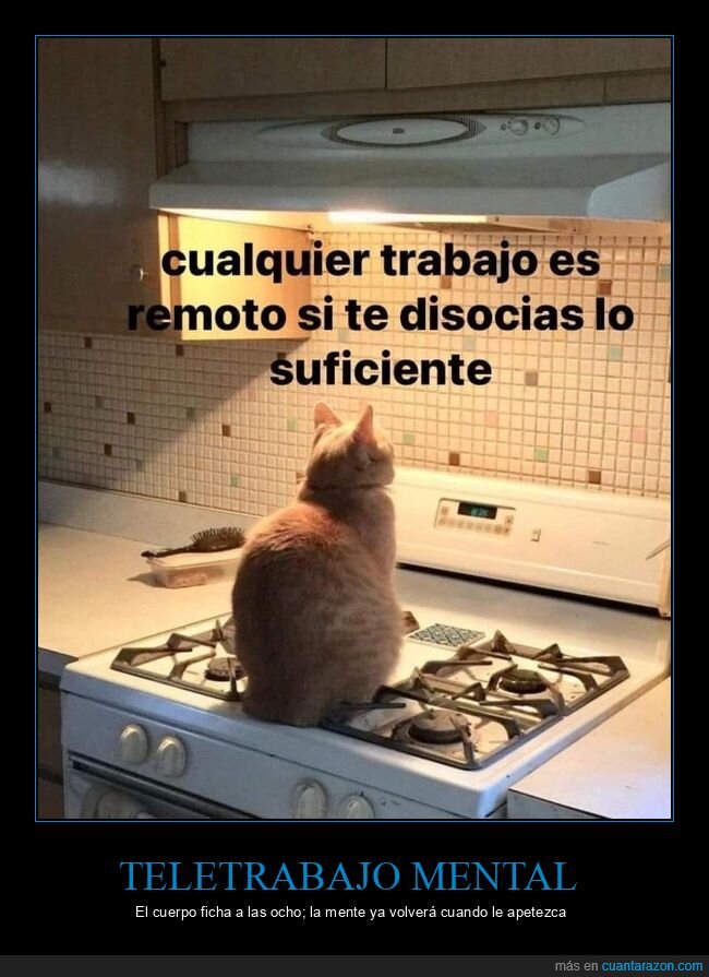 disociaci&oacute;n,gato,cocina,teletrabajo,desconexi&oacute;n