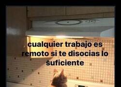 Enlace a Cualquier trabajo es remoto si te disocias lo suficiente