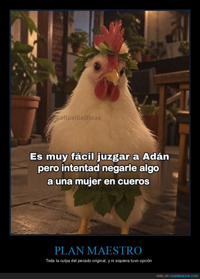 gallina,esposo,venganza,plan,corona