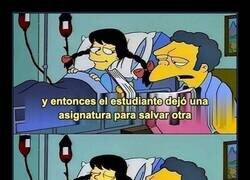 Enlace a La historia más triste de la universidad