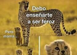 Enlace a Debo enseñarte a ser feroz