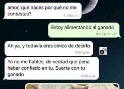 Enlace a Amor, literal estoy con el ganado