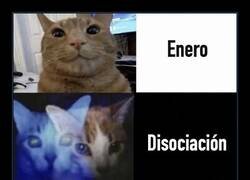 Enlace a Enero, disociación y octubre