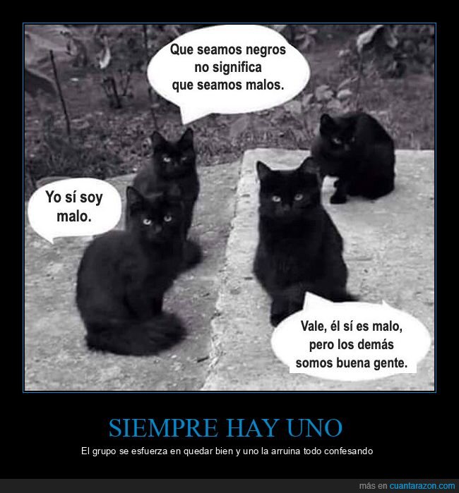 gatos,negros,grupo,confesi&oacute;n,amistad