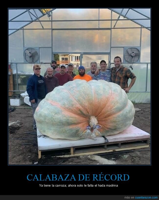 calabaza,r&eacute;cord,cultivo,agricultura,gigante