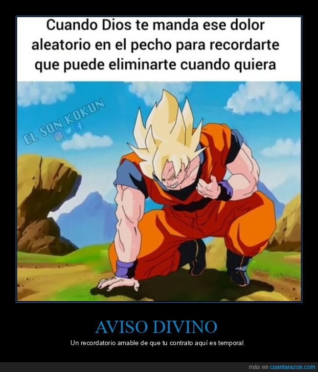 Goku,dolor,pecho,destino,aviso