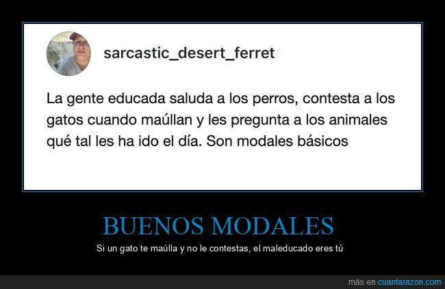 animales,gatos,perros,modales,educaci&oacute;n
