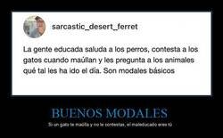 Enlace a Normas básicas de educación