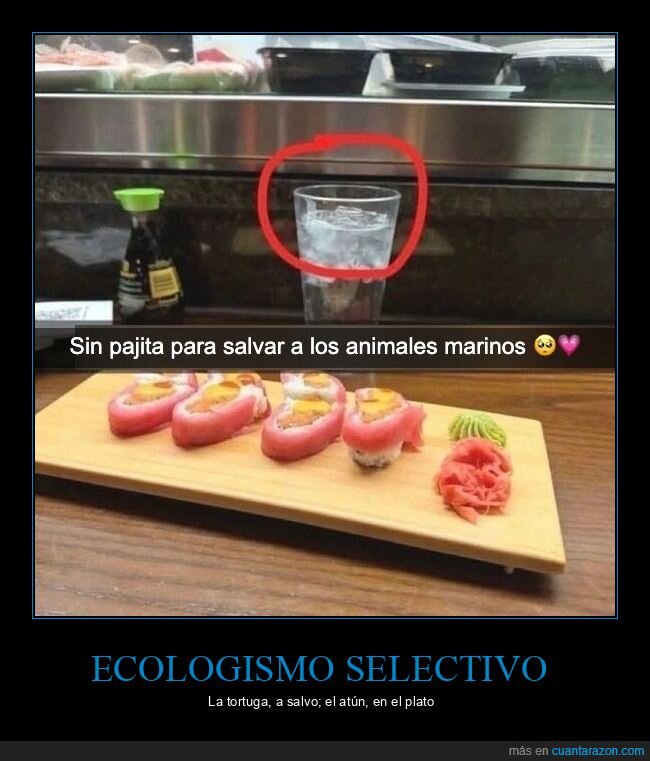 sushi,ecologia,contradiccion,pajita,pescado