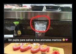 Enlace a Salvando a los animales marinos, a mi manera