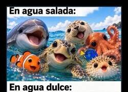 Enlace a Los peces según el tipo de agua
