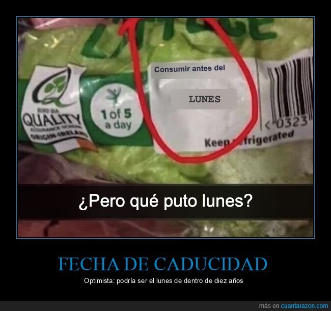 lechuga,caducidad,supermercado,etiquetado,confusi&oacute;n