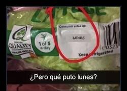 Enlace a Cuando la lechuga caduca el lunes y no te dice cuál