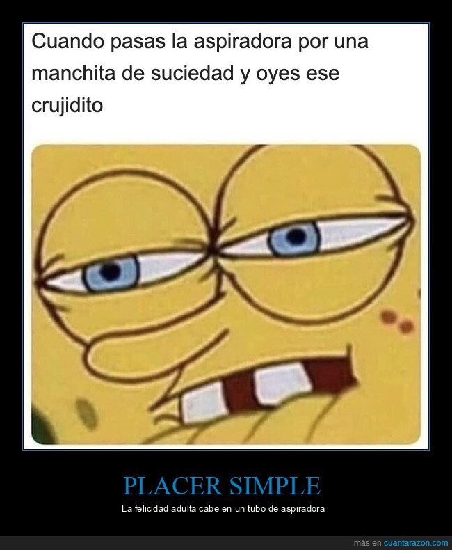 aspiradora,limpieza,satisfacci&oacute;n,suciedad,bobesponja