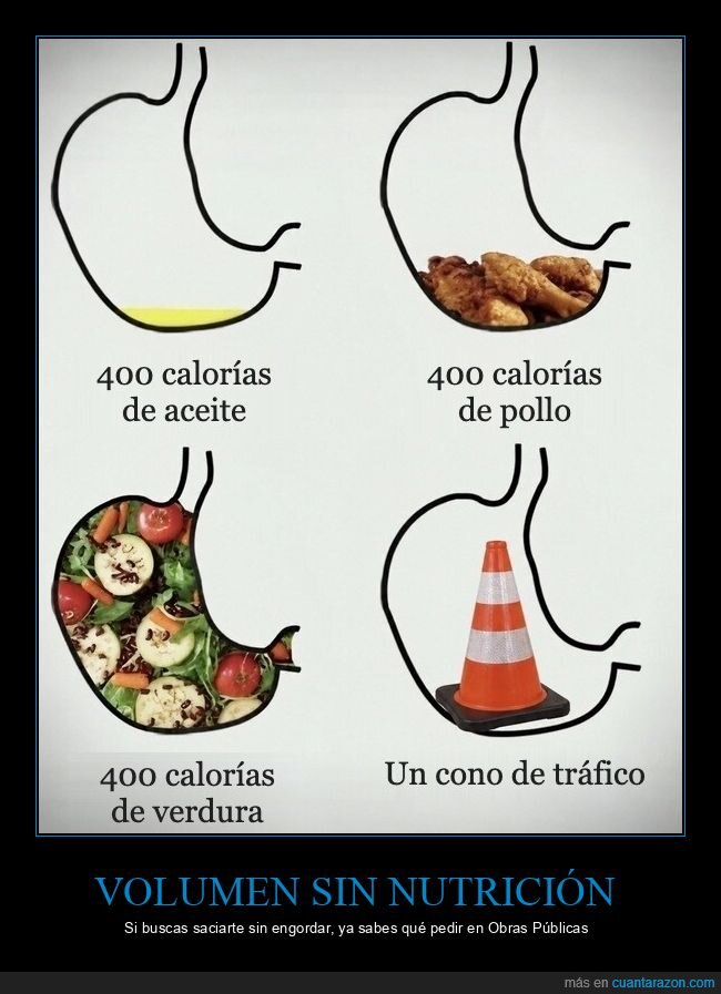 est&oacute;mago,calor&iacute;as,comida,dieta,saciedad