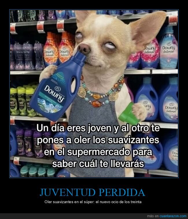 suavizante,supermercado,perro,adultez,rutina