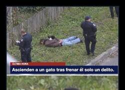 Enlace a El agente más eficaz de la comisaría