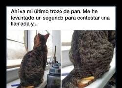 Enlace a Me levanté un segundo y…