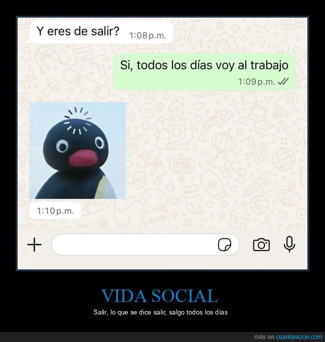 trabajo,solter&iacute;a,rutina,WhatsApp,ping&uuml;ino