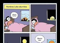 Enlace a Hombres lobo aburridos