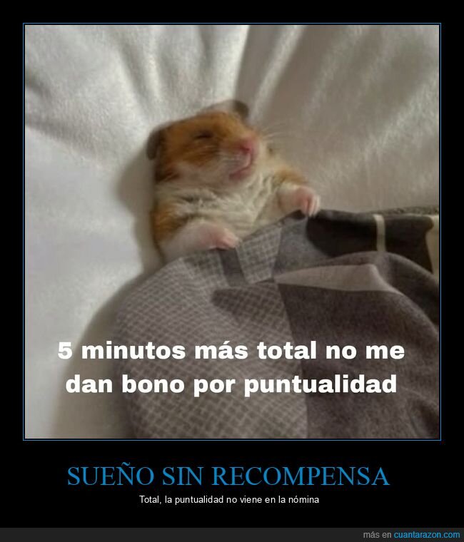 h&aacute;mster,pereza,cama,puntualidad,trabajo