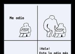 Enlace a La jerarquía del odio de un programador