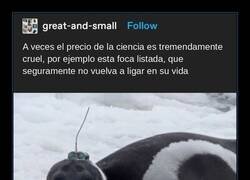 Enlace a El precio de la ciencia