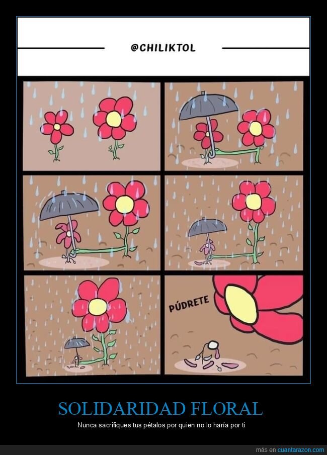 flores,c&oacute;mic,lluvia,traici&oacute;n
